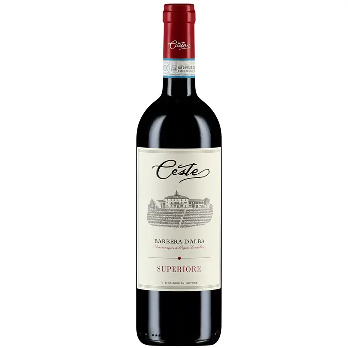 Barbera d’Alba Superiore DOC Ceste